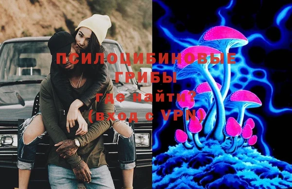 COCAINE Богородск